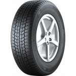 GISLAVED EURO*FROST 6 205/55R16 91H